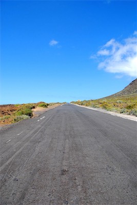 dsc_4626.jpg