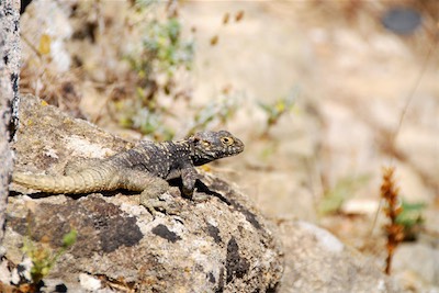 dsc_6757.jpg