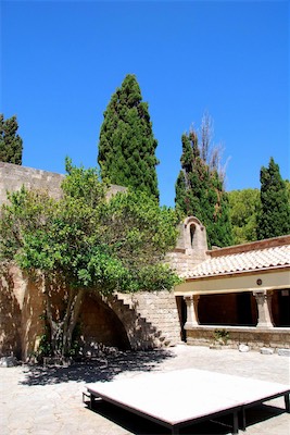dsc_6777.jpg