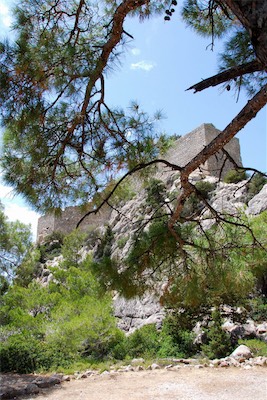 dsc_6952.jpg
