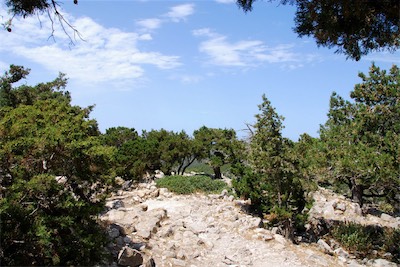 dsc_6958.jpg
