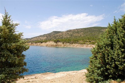dsc_6983.jpg