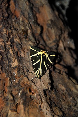 dsc_6798.jpg