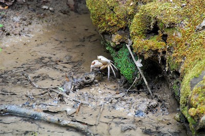 dsc_6814.jpg