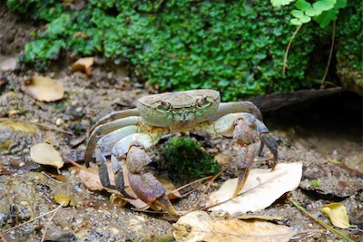 dsc_6831.jpg