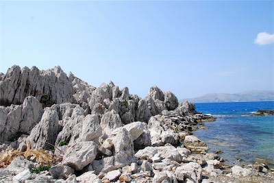 dsc_6589.jpg