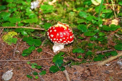 dsc_8555.jpg