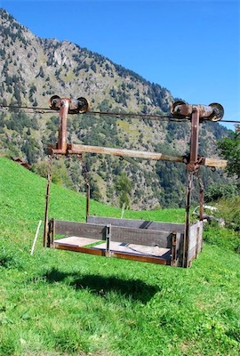 dsc_8564.jpg