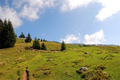 dsc_8596.jpg
