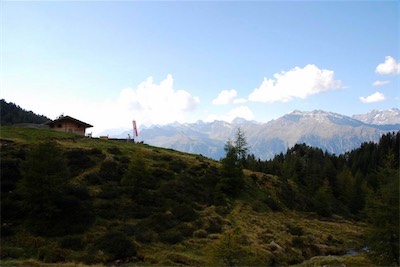 dsc_8387.jpg