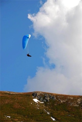 dsc_8397.jpg