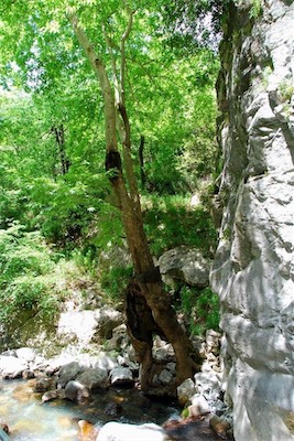 dsc_7895.jpg