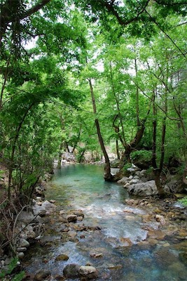 dsc_7916.jpg