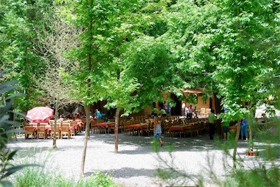 dsc_7919.jpg