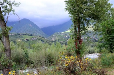 Hansi Geb                           