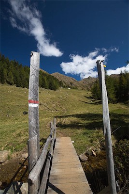 Hansi Geb