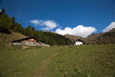 Hansi Geb