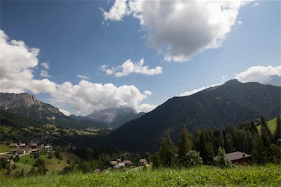 Hansi Geb