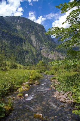 Hansi Geb