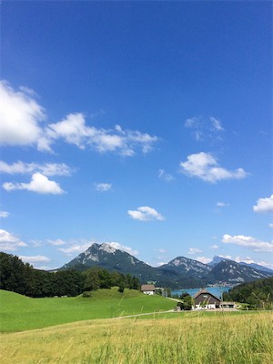 IMG_6128.jpg