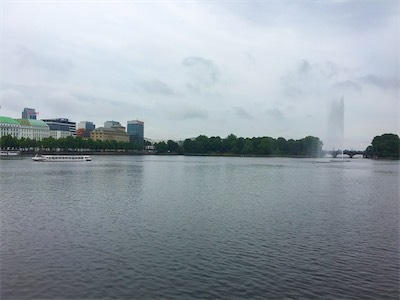 IMG_3932.jpg