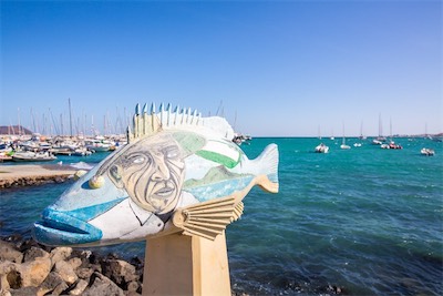 page250-1029-full.jpg