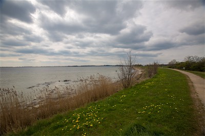 Hansi Geb