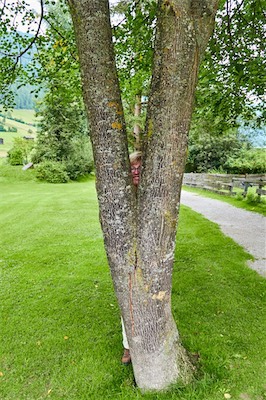 GEB05118.jpg
