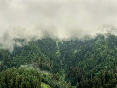 IMG_8157.jpg