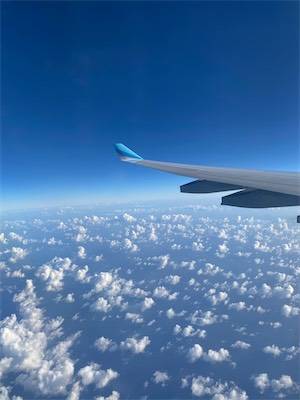 IMG_8928.jpg