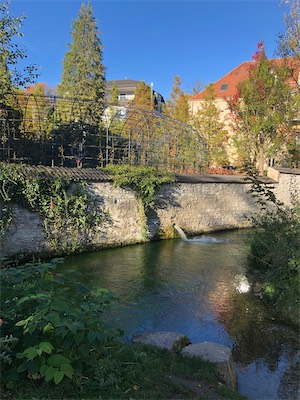 IMG_3367.jpg