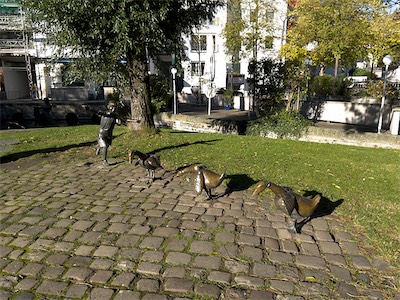 IMG_3386.jpg