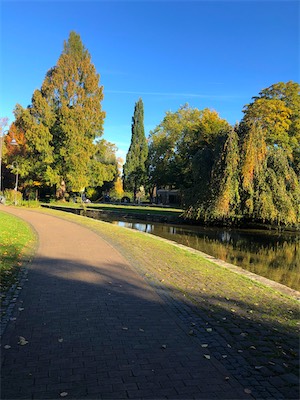 IMG_3391 1.jpg
