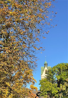 IMG_3411.jpg