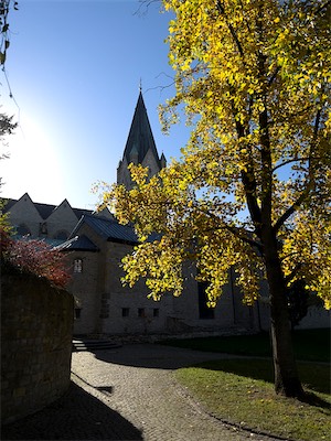 IMG_3426.jpg