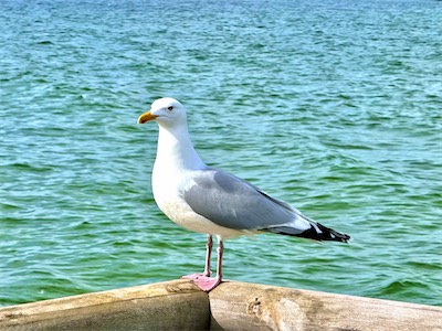 IMG_0519.jpg