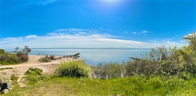 IMG_0580.jpg