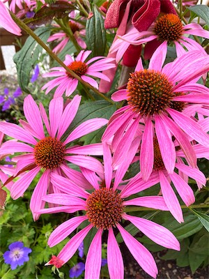 IMG_3104.jpg