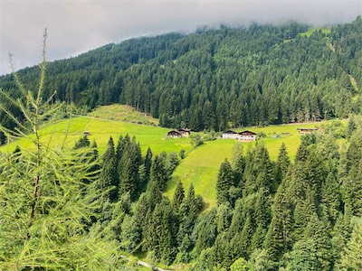 IMG_3120.jpg
