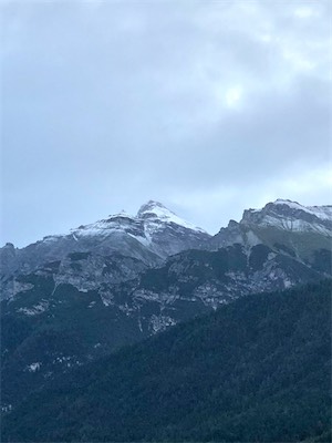 IMG_2930.jpg