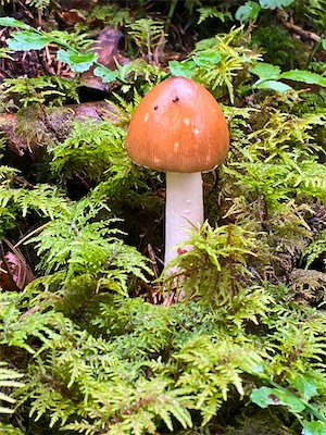 IMG_3163.jpg