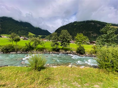 IMG_3168.jpg