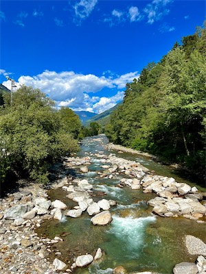 IMG_5708.jpg