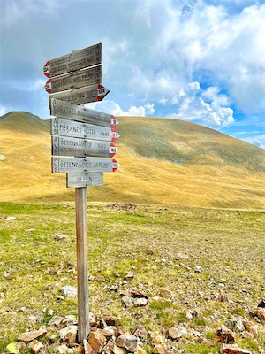 IMG_5773.jpg