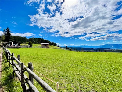 IMG_5988.jpg