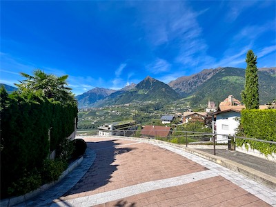 IMG_6090.jpg