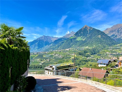 IMG_6091.jpg