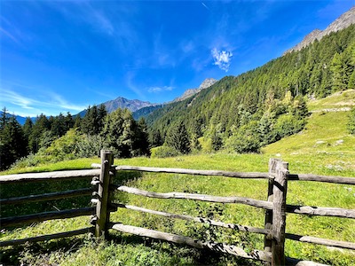 IMG_6132.jpg