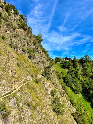 IMG_6136.jpg