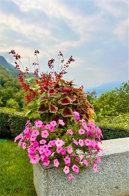 IMG_6161.jpg